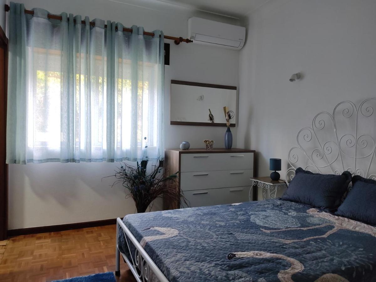 Casa Dos Avos Βίλα Vouzela Εξωτερικό φωτογραφία