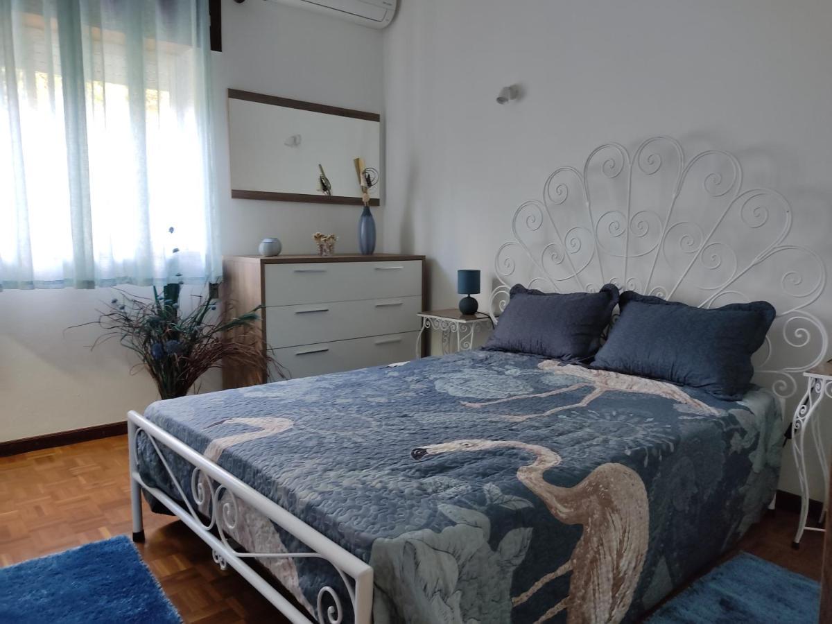 Casa Dos Avos Βίλα Vouzela Εξωτερικό φωτογραφία