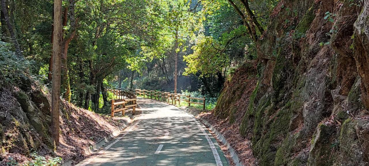 Casa Dos Avos Βίλα Vouzela Εξωτερικό φωτογραφία